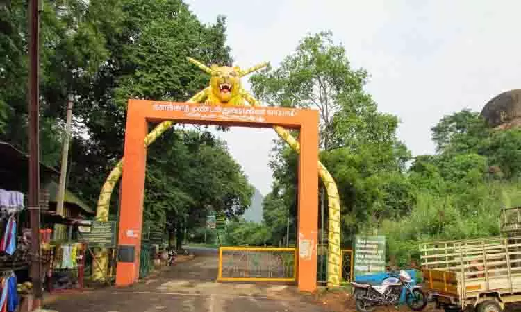 वन विभाग ने Kalakkad मुंडनथुराई टाइगर रिजर्व के लिए जैव विविधता अध्ययन की योजना बनाई वन विभाग ने Kalakkad मुंडनथुराई टाइगर रिजर्व के लिए जैव विविधता अध्ययन की योजना बनाई