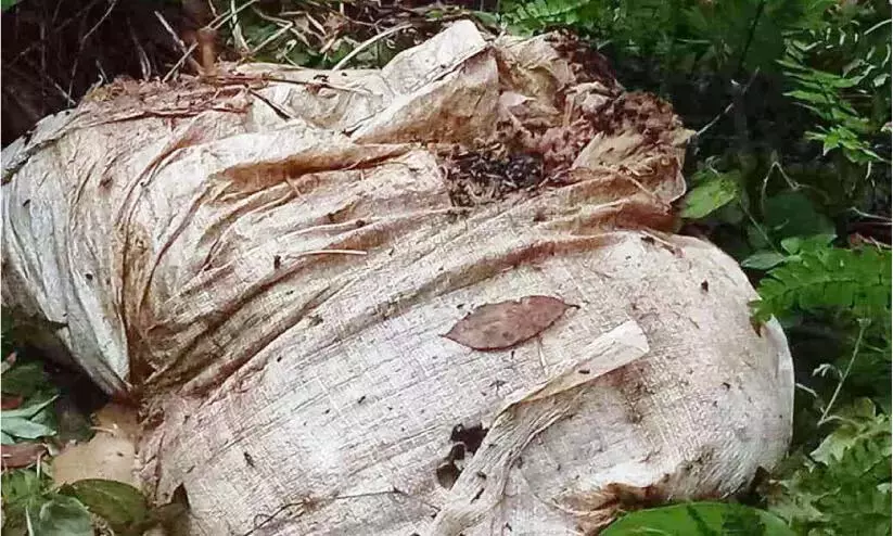 Kerala: सड़क पर कूड़ा फेंकना आम बात होती जा रही Kerala: सड़क पर कूड़ा फेंकना आम बात होती जा रही