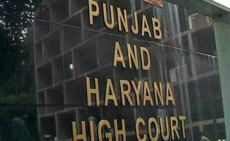 Haryana : नाबालिगों का कल्याण सर्वोपरि कोर्ट ने लिव-इन रिलेशनशिप में रहने वाले जोड़े को सुरक्षा Haryana : नाबालिगों का कल्याण सर्वोपरि कोर्ट ने लिव-इन रिलेशनशिप में रहने वाले जोड़े को सुरक्षा