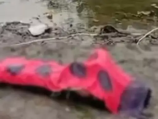चौकीदार खुद के बिछाए जाल में फंसा, मछली पकड़ने के चक्कर में मौत चौकीदार खुद के बिछाए जाल में फंसा, मछली पकड़ने के चक्कर में मौत
