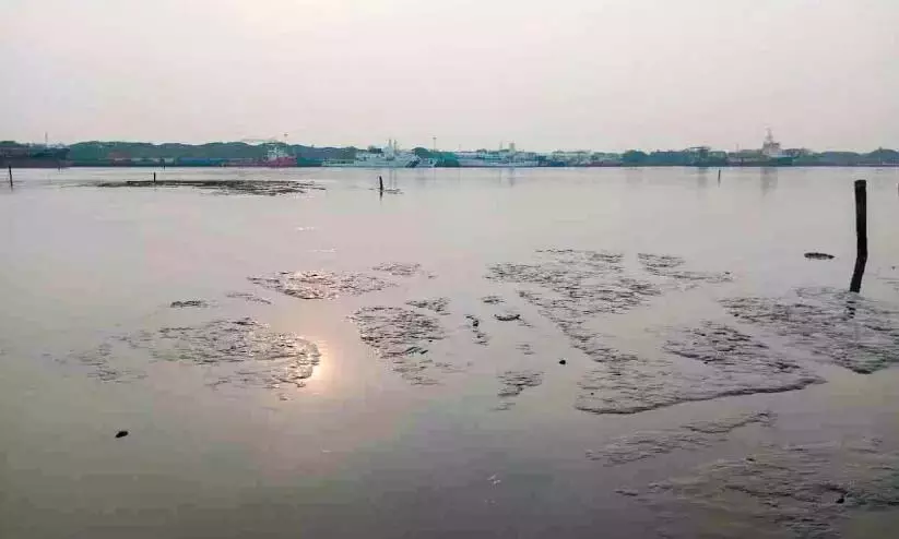 झील पानी से भरी है; नाव सेवा ठप, यात्रियों को परेशानी झील पानी से भरी है; नाव सेवा ठप, यात्रियों को परेशानी