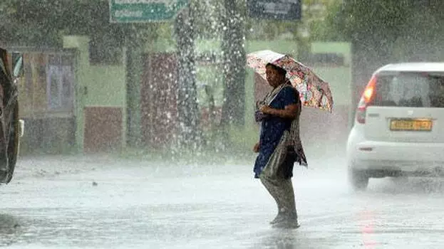 Kerala में गर्मी की बारिश आज 8 जिलों में येलो अलर्ट Kerala में गर्मी की बारिश आज 8 जिलों में येलो अलर्ट