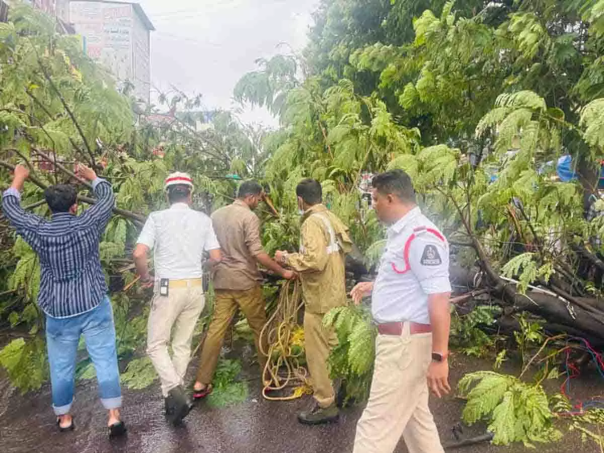 Hyderabad में भारी बारिश, पेड़ उखड़ गए, निचले इलाकों में पानी भर गया Hyderabad में भारी बारिश, पेड़ उखड़ गए, निचले इलाकों में पानी भर गया