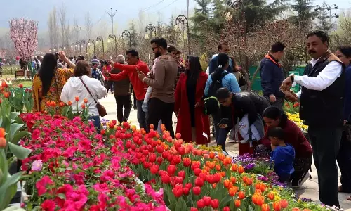 ईद पर ट्यूलिप गार्डन में 75,000 लोग, कुल पर्यटक 1.56 लाख पार