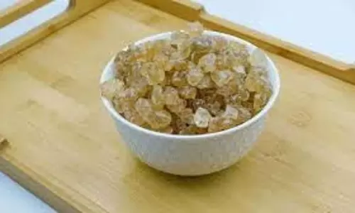 Gond Katira Benefits: गर्मियों में आपको ठंडा रखता है यह प्राकृतिक टॉनिक, जानें फायदे Gond Katira Benefits: गर्मियों में आपको ठंडा रखता है यह प्राकृतिक टॉनिक, जानें फायदे