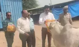 Ambedkar Nagar: सीडीओ ने अस्थाई गौशाला में गायों का पूजन किया Ambedkar Nagar: सीडीओ ने अस्थाई गौशाला में गायों का पूजन किया