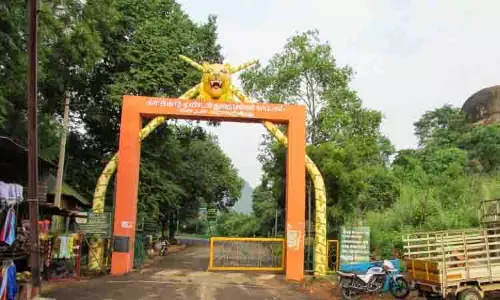 वन विभाग ने Kalakkad मुंडनथुराई टाइगर रिजर्व के लिए जैव विविधता अध्ययन की योजना बनाई वन विभाग ने Kalakkad मुंडनथुराई टाइगर रिजर्व के लिए जैव विविधता अध्ययन की योजना बनाई