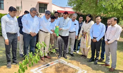 Haryana :  सिरसा विश्वविद्यालय के 23वें स्थापना दिवस पर पौधारोपण अभियान और सांस्कृतिक कार्यक्रमों का आयोजन