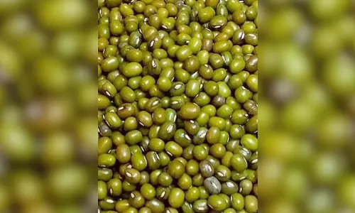 शाकाहारियों के लिए ‘प्रोटीन की खान’ है हरी मूंग की दाल, सेवन से मिलेगी खूब ताकत