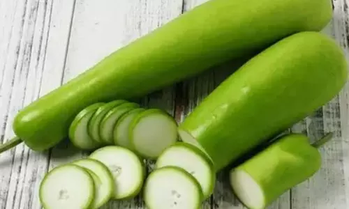 Food World : गर्मी में लौकी खाना क्यों फायदेमंद? Food World : गर्मी में लौकी खाना क्यों फायदेमंद?