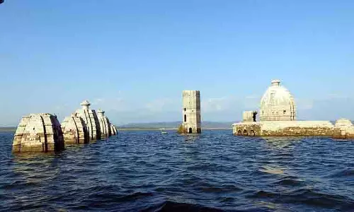 Pong वेटलैंड से इकोटूरिज्म को बढ़ावा मिलने की संभावना