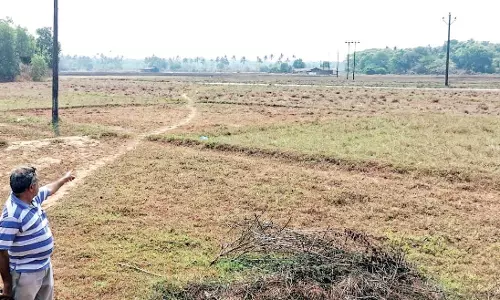 Benaulim कोमुनिडेडे ने कृषि विरासत को पुनः प्राप्त करने के लिए परित्यक्त कृषि भूमि को पुनर्जीवित किया Benaulim कोमुनिडेडे ने कृषि विरासत को पुनः प्राप्त करने के लिए परित्यक्त कृषि भूमि को पुनर्जीवित किया