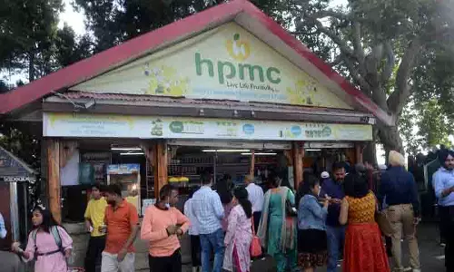 सेब उत्पादकों ने HPMC पर अपने सीए स्टोर, ग्रेडिंग और पैकिंग लाइनों को किराए पर देने के लिए निशाना साधा सेब उत्पादकों ने HPMC पर अपने सीए स्टोर, ग्रेडिंग और पैकिंग लाइनों को किराए पर देने के लिए निशाना साधा