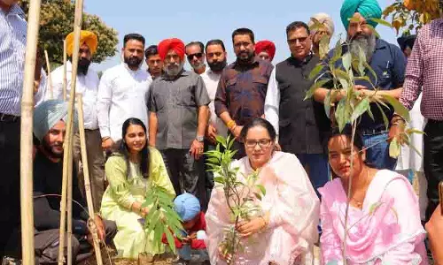 Amritsar: मियावाकी वन जनता के लिए खुला Amritsar: मियावाकी वन जनता के लिए खुला