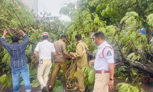 Hyderabad में भारी बारिश, पेड़ उखड़ गए, निचले इलाकों में पानी भर गया Hyderabad में भारी बारिश, पेड़ उखड़ गए, निचले इलाकों में पानी भर गया