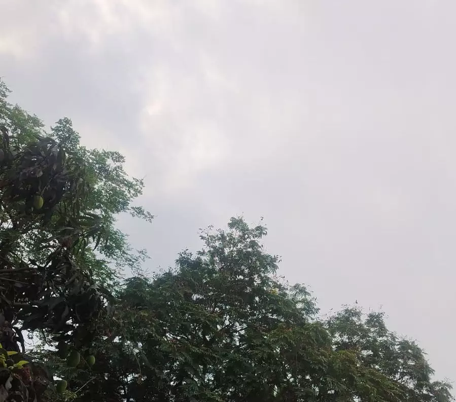 CG NEWS : आगामी तीन दिन गरज-चमक के साथ हल्की बारिश की संभावना CG NEWS : आगामी तीन दिन गरज-चमक के साथ हल्की बारिश की संभावना