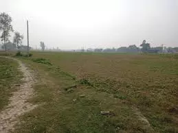Shamshabad: दबंगों के कब्जे से वन विभाग की भूमि हुई मुक्त Shamshabad: दबंगों के कब्जे से वन विभाग की भूमि हुई मुक्त