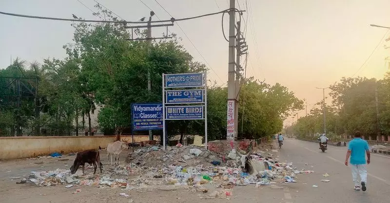 Haryana : हमारे पाठक क्या कहते हैं रोहतक में सफाई व्यवस्था की बदहाली Haryana : हमारे पाठक क्या कहते हैं रोहतक में सफाई व्यवस्था की बदहाली