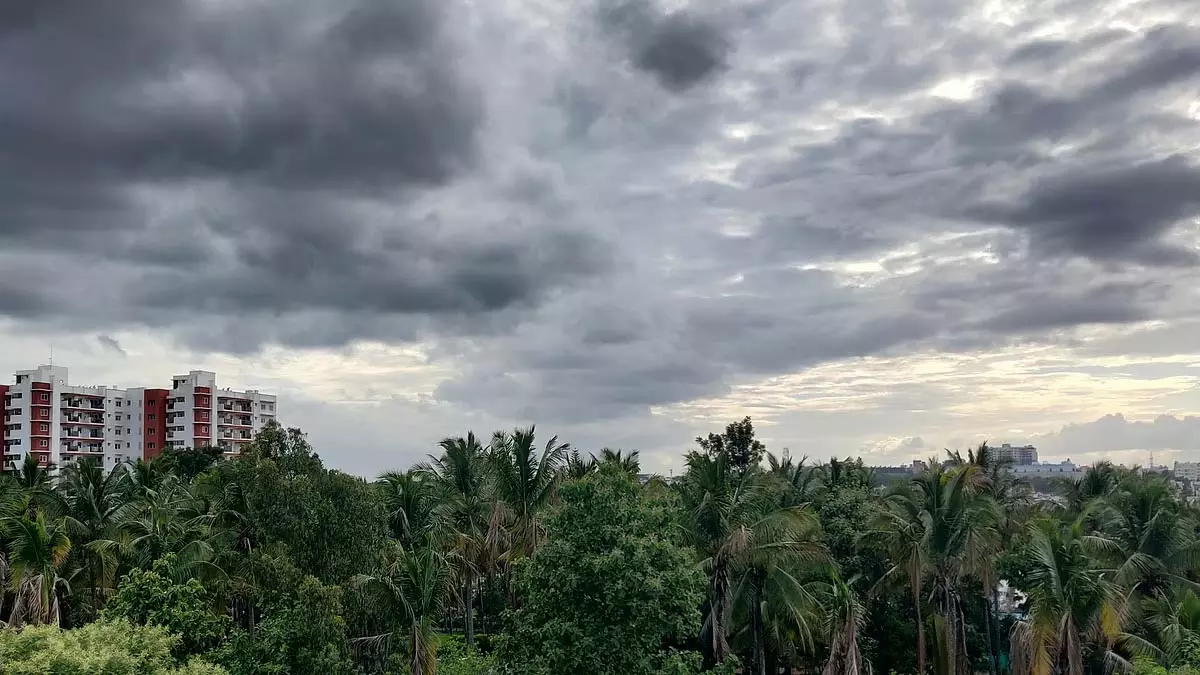 Bengaluru Weather: शुक्रवार को शहर में हल्की से मध्यम बारिश होने की संभावना Bengaluru Weather: शुक्रवार को शहर में हल्की से मध्यम बारिश होने की संभावना