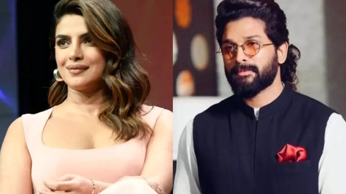 Bollywood और साउथ फिल्म इंडस्ट्री में मचेगा धमाल Bollywood और साउथ फिल्म इंडस्ट्री में मचेगा धमाल