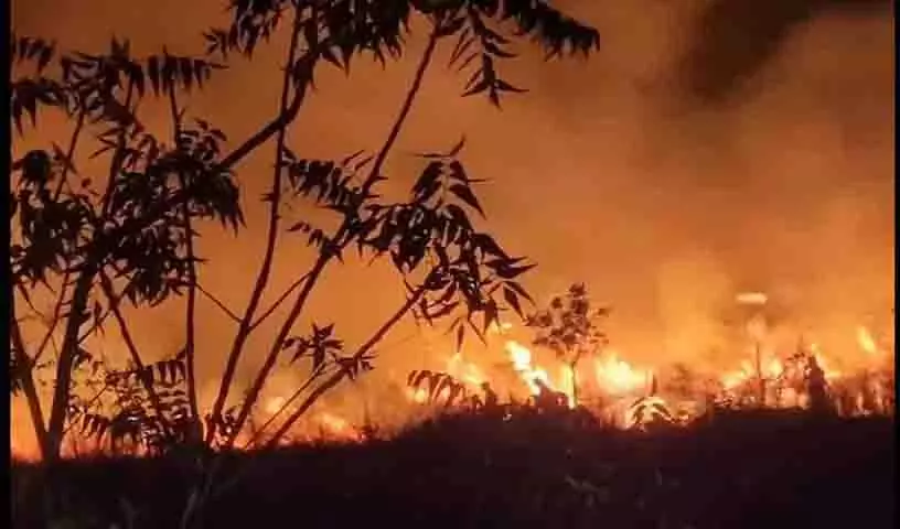 Khammam वेलुगुमातला अर्बन पार्क में आग से पौधों को नुकसान पहुंचा Khammam वेलुगुमातला अर्बन पार्क में आग से पौधों को नुकसान पहुंचा