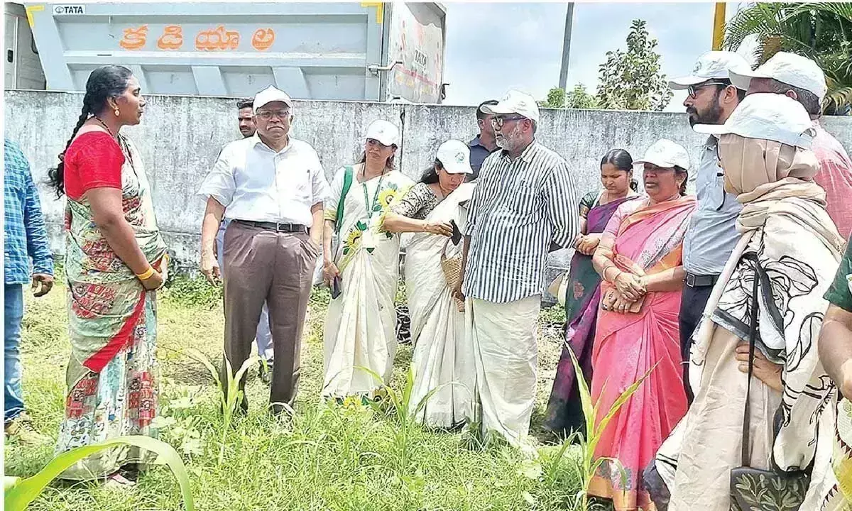 केरल के कृषि मंत्री ने NTR, गुंटूर जिले में प्राकृतिक खेती के खेतों का दौरा किया केरल के कृषि मंत्री ने NTR, गुंटूर जिले में प्राकृतिक खेती के खेतों का दौरा किया