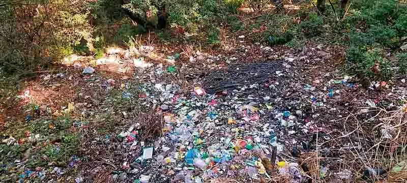Shimla के जंगल में फेंका जा रहा, कूड़ा Shimla के जंगल में फेंका जा रहा, कूड़ा