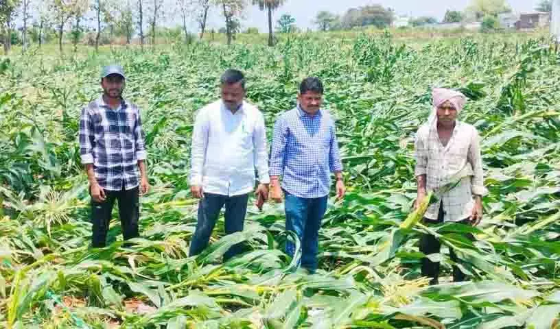 बेमौसम बारिश के कारण Telangana के कई जिलों में फसलों को भारी नुकसान हुआ बेमौसम बारिश के कारण Telangana के कई जिलों में फसलों को भारी नुकसान हुआ