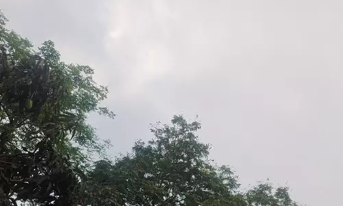 CG NEWS : आगामी तीन दिन गरज-चमक के साथ हल्की बारिश की संभावना