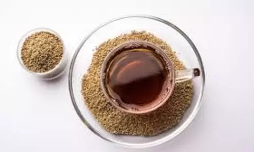 How to Lose Weight: जिम के लिए नहीं है समय तो सुबह उठकर पिएं ये ड्रिंक, कम हो जाएगा वजन How to Lose Weight: जिम के लिए नहीं है समय तो सुबह उठकर पिएं ये ड्रिंक, कम हो जाएगा वजन