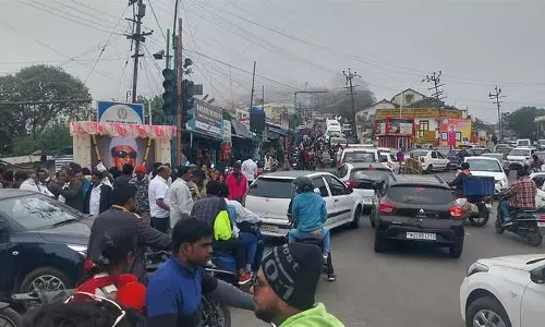 सरकार ने ऊटी, कोडईकनाल में ई-पास प्रतिबंधों में ढील देने की मांग करते हुए याचिका दायर की