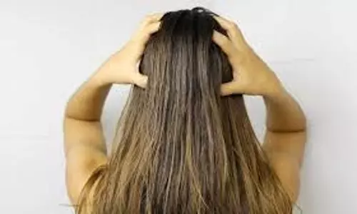 Hair Care: रूखे बालों को कहें अलविदा, घर पर बनाएं ये 5 होममेड हेयर सीरम Hair Care: रूखे बालों को कहें अलविदा, घर पर बनाएं ये 5 होममेड हेयर सीरम