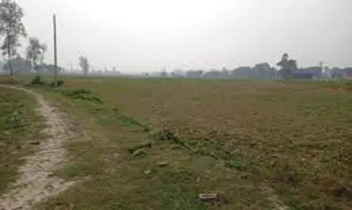 Shamshabad: दबंगों के कब्जे से वन विभाग की भूमि हुई मुक्त