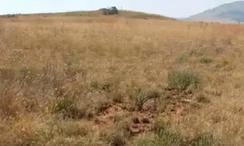 AP: विजागाइट ने 30 एकड़ डी पट्टा भूमि सरकार को सौंपी