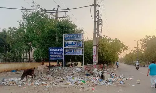 Haryana :  हमारे पाठक क्या कहते हैं रोहतक में सफाई व्यवस्था की बदहाली
