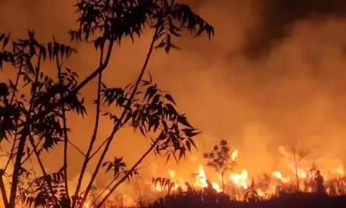 कैथे पैसिफिक ने Hyderabad से उत्तरी अमेरिका जाने वाले यात्रियों को लक्ष्य बनाया