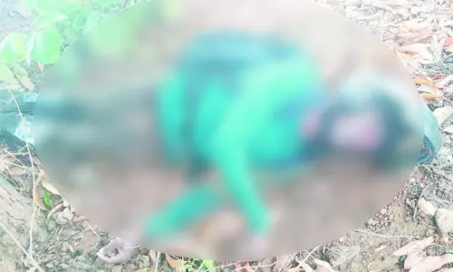 बारिश होने पर पेड़ के नीचे खड़ा हुआ SECL कर्मी, गाज गिरने से मौत