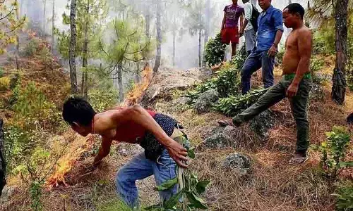 Una वन प्रभाग ने ग्रीष्मकाल के लिए अग्नि निरोधक उपाय लागू किए Una वन प्रभाग ने ग्रीष्मकाल के लिए अग्नि निरोधक उपाय लागू किए