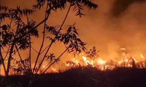 Khammam वेलुगुमातला अर्बन पार्क में आग से पौधों को नुकसान पहुंचा Khammam वेलुगुमातला अर्बन पार्क में आग से पौधों को नुकसान पहुंचा