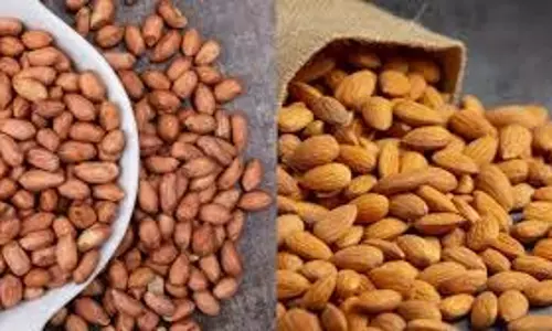 Health : बादाम या मूंगफली: सेहत के लिए कौन सा विकल्प बेहतर Health : बादाम या मूंगफली: सेहत के लिए कौन सा विकल्प बेहतर