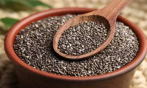 Chia Seed Benefits : चिया सीड खाने के फायदे