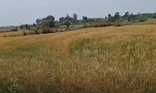 LoC पर तनाव से इस सेक्टर में दहशत, किसानों को फसल बर्बादी का डर