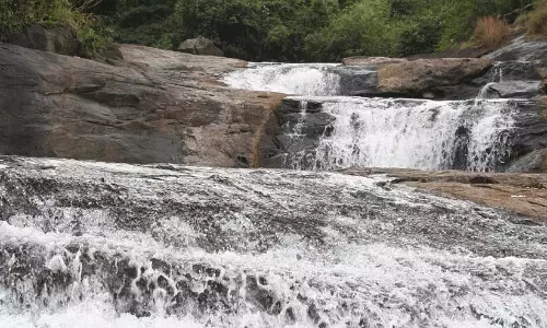 Kerala: कक्कड़म पोयिल जलप्रपात पर एक युवक लापता हो गया Kerala: कक्कड़म पोयिल जलप्रपात पर एक युवक लापता हो गया