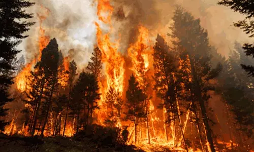 Climate : अध्ययन में बड़ा खुलासा Climate : अध्ययन में बड़ा खुलासा
