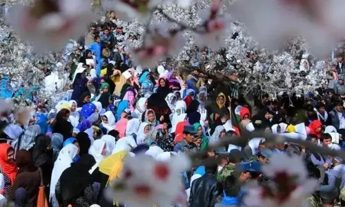 CM Omar ने बादामवाड़ी में ‘बादाम खिलने के उत्सव’ का उद्घाटन किया