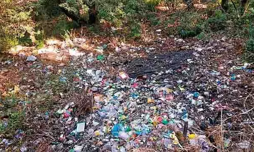 Shimla के जंगल में फेंका जा रहा, कूड़ा