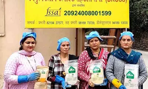 Himachal: जैविक हल्दी की पहल से महिलाओं को मिल रहा लाभ