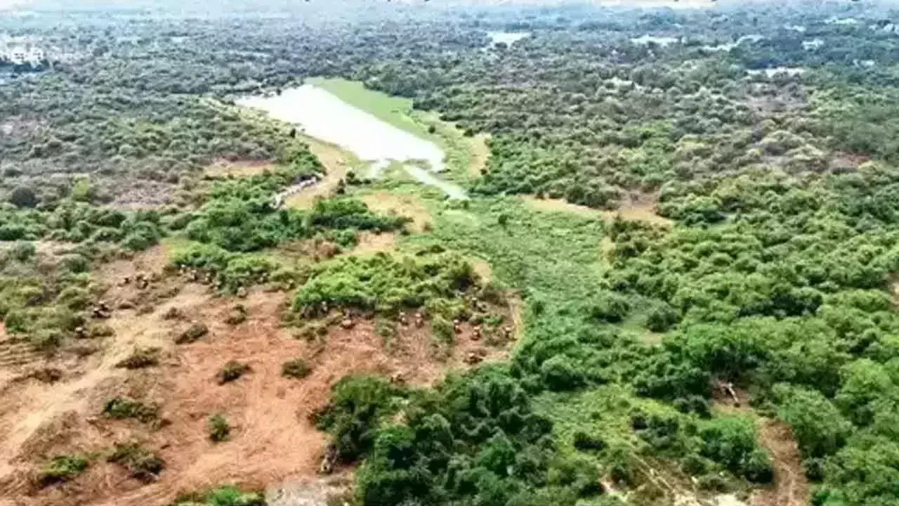 Telangana: कंचन गाचीबोवली भूमि विवाद को सुलझाने के लिए समिति का गठन Telangana: कंचन गाचीबोवली भूमि विवाद को सुलझाने के लिए समिति का गठन
