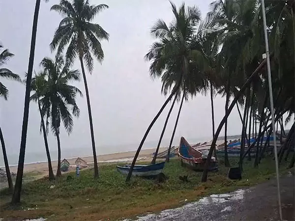 IMD ने कुछ जिलों में बारिश, आंधी-तूफान की चेतावनी जारी की IMD ने कुछ जिलों में बारिश, आंधी-तूफान की चेतावनी जारी की