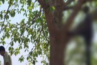 दोस्त की मौत का लगा सदमा, युवक ने दुःख में दुनिया से ले लिया अलविदा दोस्त की मौत का लगा सदमा, युवक ने दुःख में दुनिया से ले लिया अलविदा